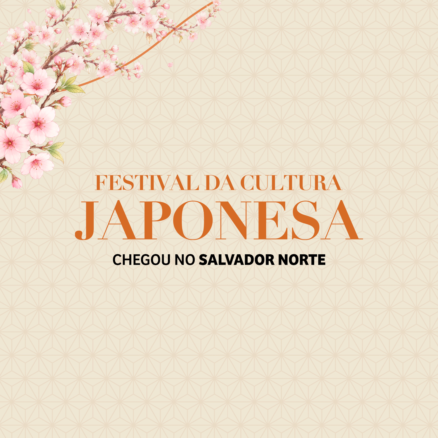 Vem aí: Festival da Cultura Japonesa